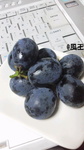 201710093.jpg