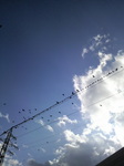 9/14空